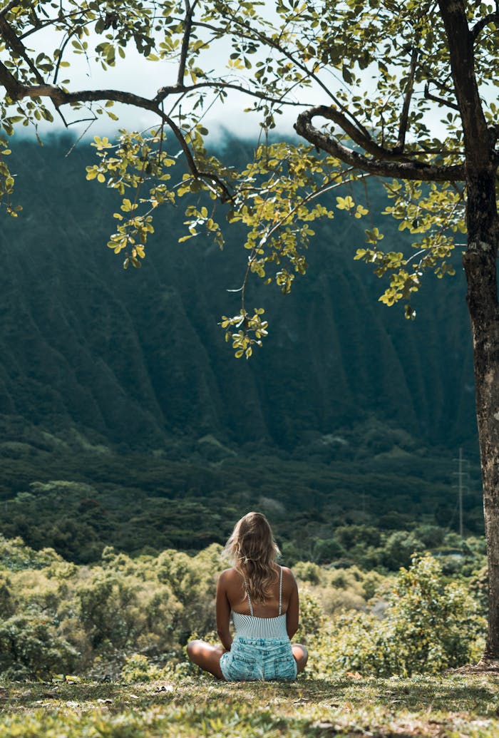 A woman sits in meditation under a tree, overlooking a tranquil mountain valley, embracing nature's calm.